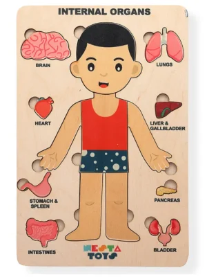 Nesta Toys Human Body Internal Organs Puzzle 14 Pieces