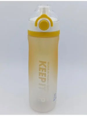 Sanjary Bpa Free Sports Water Bottle Pack of 1 650 ml
