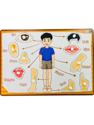 Wooden Body Parts Puzzle With Knob Multicolour 10 Pieces