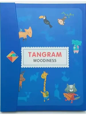 Happy Hues Travel Wooden Magnetic Tangram Puzzle 7 Magnetic Pattern Block Book with Challenges & Solution3D Puzzle Road Trip Game