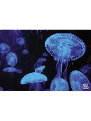 Illuminated Jellyfishes Wooden Jigsaw Puzzle 252 Pieces